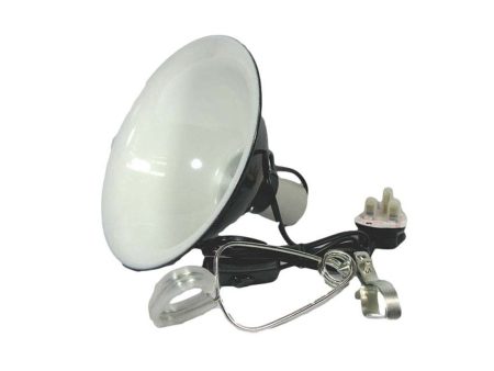 Reptile Clamp Lamp White 150W Bulk Buy x12 Cheap