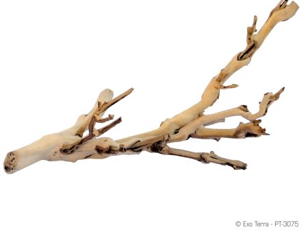 Exo Terra Forest Branch - Sandblasted Grapevine - Small, Medium and Large For Sale