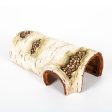 Reptile Hide Cave Medium -19.5x11.5x7.1cm Bulk Buy x12 For Cheap