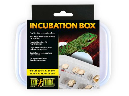 Exo Terra Incubation Box Sale