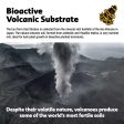 Exo Terra Bioactive Volcanic Substrate Online