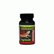 Komodo Premium Vegetable Booster for Adult Bearded Dragons 75g Online