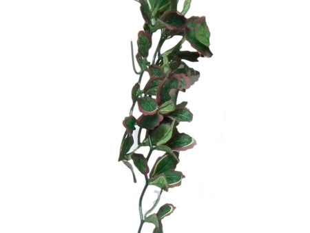 Vivarium Silk Plant Red Croton Small Bulk Buy x24 For Discount