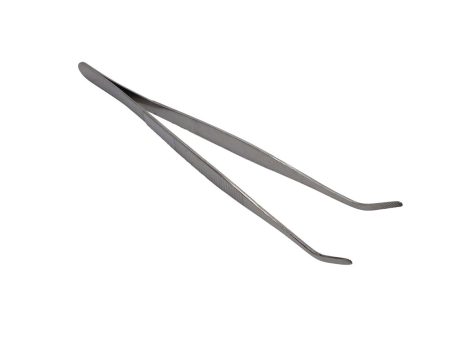 Livefood Stainless Steel Tweezers Curved End 250mm (10 ) Bulk Buy x24 Hot on Sale