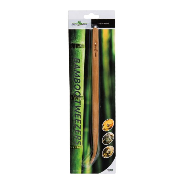 Livefood Stainless Bamboo Tweezers Curve 280mm (11 ) Bulk Buy x12 Sale