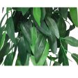 Vivarium Silk Plant Ruscus Small Bulk Buy x24 For Sale