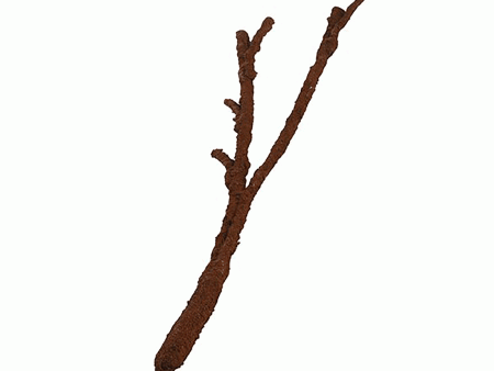 Komodo Latex Tropical Vine Branch Hot on Sale