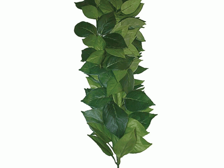 Komodo Ficus Silk Hanging Vine 35cm Cheap