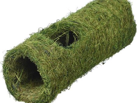 Komodo Natural Tropical Tunnel Green Large 22cm Discount