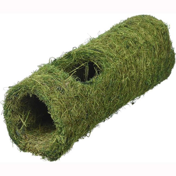 Komodo Natural Tropical Tunnel Green Large 22cm Discount