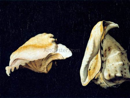 Two Shells by Filippo Napoletano - Hand-Painted Oil Painting on Canvas Sale