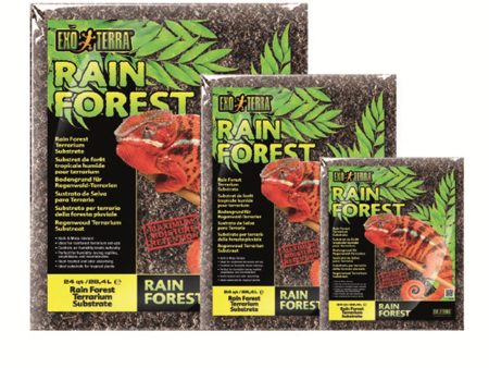 Rain Forest Substrate Cheap