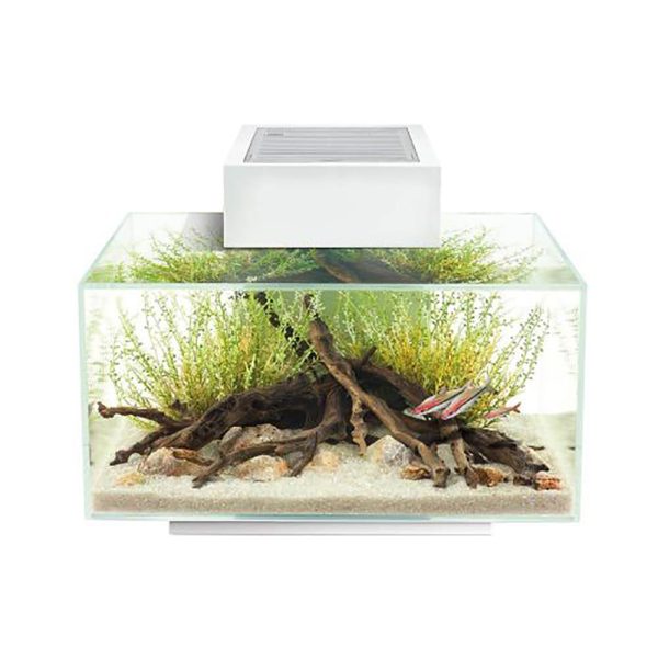 Fluval Edge 2.0 Aquarium Kit 23ltr or 46ltr For Sale