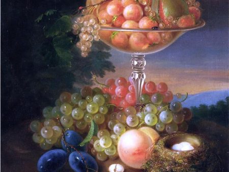 Still Life with Fruit, Nest of Eggs and Insects by George Forster - Hand-Painted Oil Painting on Canvas Sale