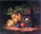 Still Life with Fruit, Bird s Nest and Broken Egg by George Forster - Hand-Painted Oil Painting on Canvas Online Sale