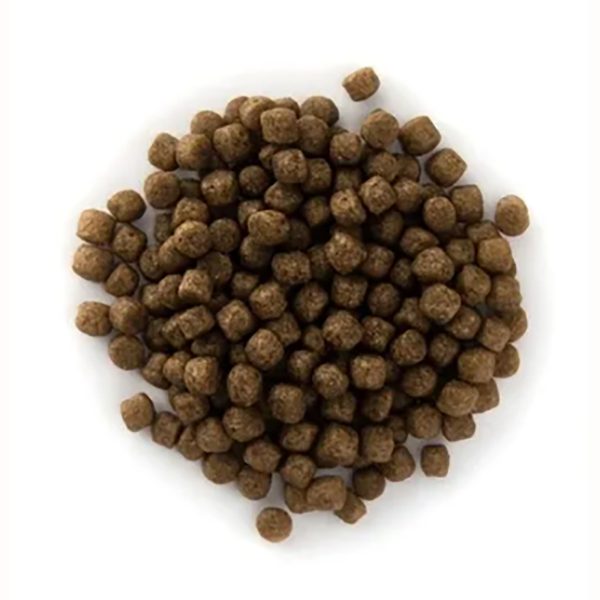 Cloverleaf Absolute Floating Cichlid Growth Pellets Sale